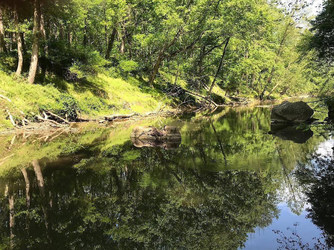 Brooklyn Bridge Road Stream