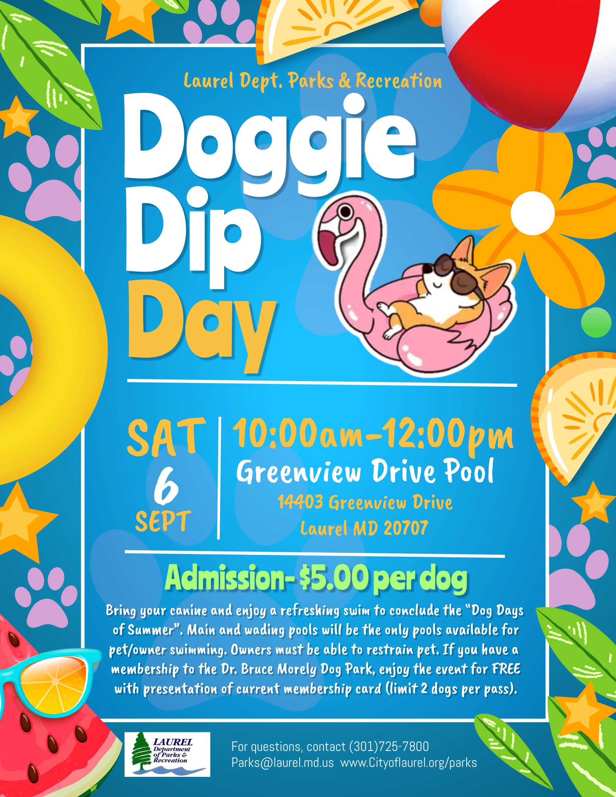Doggie Dip Day 2025 flyer