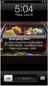 Wireless Emergency Alerts